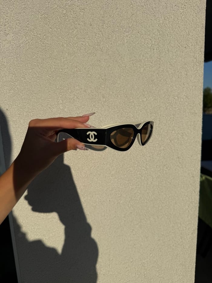 Lunettes de soleil noires et ivoire tenues en main